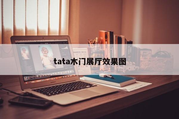 tata木门展厅效果图